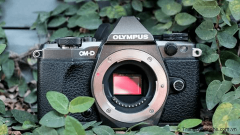 Trải nghiệm thực tế đầy thú vị với máy ảnh Olympus E-M5 Mark II
