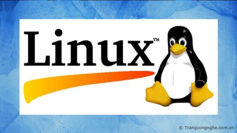 Hệ điều hành Linux là gì? Hướng dẫn cách cài đặt Linux và cách tối ưu hiệu quả