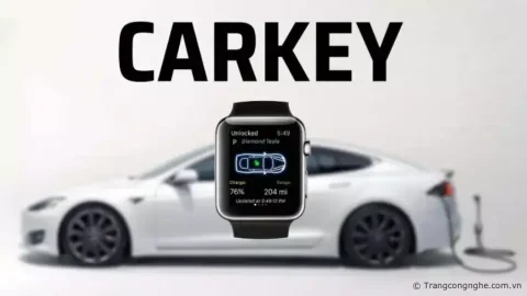 Khóa thông minh Apple Car Key là gì? Dòng xe nào hỗ trợ mở khóa từ xa bằng Apple Car Key?