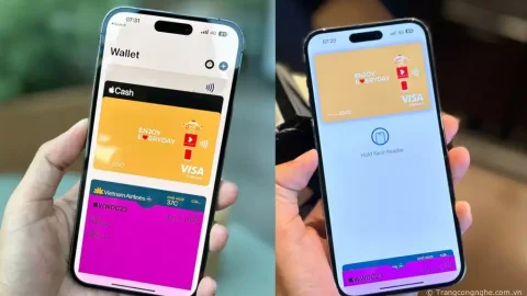 Hướng dẫn cài đặt Apple Pay trên ứng dụng Ví trong iPhone mới nhất 2023