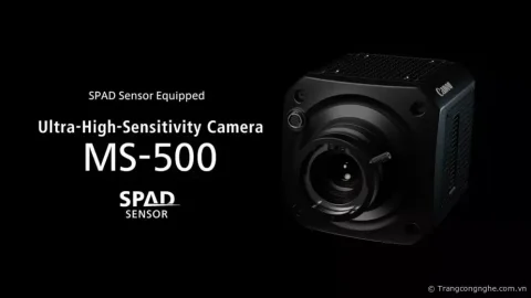 Canon ra mắt MS-500, camera trang bị cảm biến SPAD 1-inch có thể quay trong môi trường cực tối