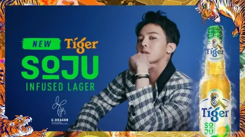 G-Dragon: Ngôi sao Kpop nổi tiếng sẽ về Việt Nam
