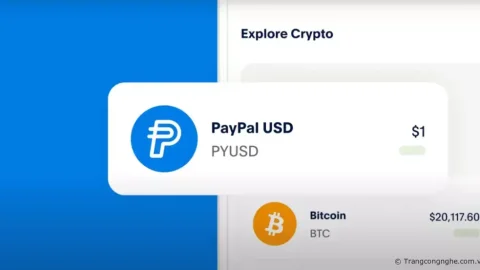 PayPal chính thức ra mắt stablecoin PayPal USD (PYUSD)