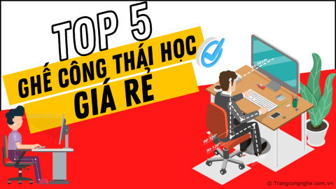 Top 5 ghế công thái học giá rẻ cho sinh viên được mua nhiều nhất 2023