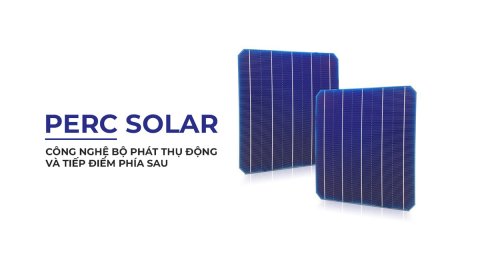 Công nghệ PERC được vinh danh tại VinFuture 2023 có gì đột phá?