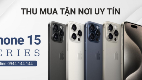 Táo Việt Store - Nơi Thu Mua iPhone Cũ Giá Tốt Tại TPHCM