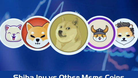 Phân tích và so sánh Shiba Inu với các Meme Coin khác