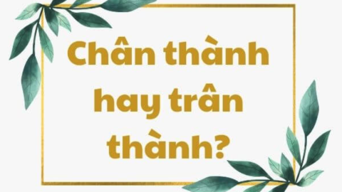 Chân thành hay trân thành : Đâu là từ đúng chính tả trong Tiếng Việt ?