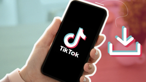 SaveTik - Tải video Tiktok không có logo, hình mờ, watermark