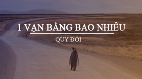 1 vạn là bao nhiêu? Giải đáp thắc mắc về đơn vị đo lường