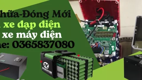 Pin xe đạp điện – Chìa khóa nâng cao hiệu năng và an toàn cho xe điện hiện đại