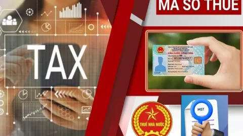 Hướng dẫn chi tiết cập nhật số CCCD thành mã số thuế trên ứng dụng eTaxMobile