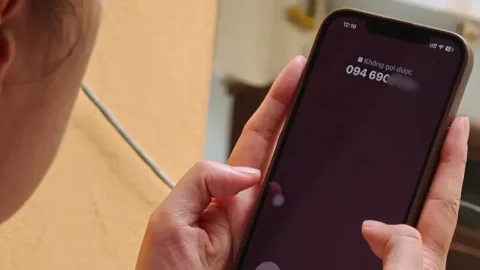 Sự cố mạng VinaPhone 14/6/2025: người dùng gặp khó khăn trong liên lạc