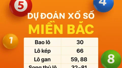 Hướng Dẫn Xem Các Bài Dự Đoán Xổ Số 3 Miền Bắc – Trung – Nam