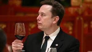 Elon Musk: Hãy tận hưởng hành trình trong thời đại AI
