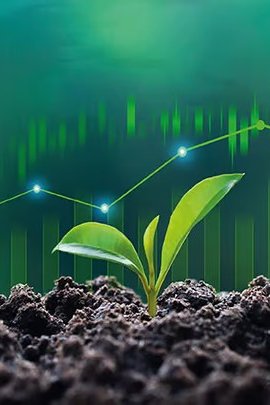 Cách các công ty đo lường và báo cáo tác động bền vững