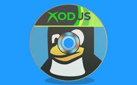 Dự án Xodus: Chạy game Xbox trên Linux và Mac đạt mốc quan trọng