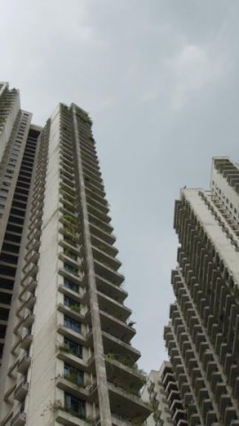 Forest City: Từ thành phố ma đến điểm nóng lừa đảo