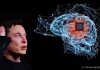 Elon Musk chuẩn bị cuộc thử nghiệm cấy chip vào não người