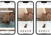 Biến hình ảnh của mình thành những hình dán động với iOS 17