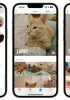 Ứng dụng Photos trên iOS 17 nhận diện được vật nuôi của bạn trong album ảnh