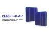 Công nghệ PERC được vinh danh tại VinFuture 2023 có gì đột phá?