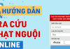 Các cách kiểm tra thông tin xử phạt giao thông (Phạt nguội) trên toàn quốc