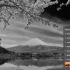 Adobe Photoshop 2023: Phiên bản 24.5 ra mắt với nhiều tính năng AI mới được bổ sung