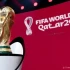 K+ có chiếu vòng loại World Cup không?Có các trận của Việt Nam không?