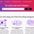 Lưu Video Trên Instagram: Hướng Dẫn Kỹ Thuật Chi Tiết Cho Chất Lượng Gốc 2025