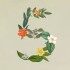Giới thiệu Claude Sonnet 5: Mô hình AI mạnh mẽ hơn cho lập trình viên