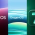 OxygenOS và Realme UI sẽ được hợp nhất thành ColorOS