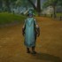 Nhận trang phục Ensemble: Sorcerer's Grassy Garb từ Twitch Drop trong World of Warcraft