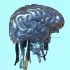 Anthropic cập nhật chính sách sử dụng, cấm hành vi lạm dụng với Claude